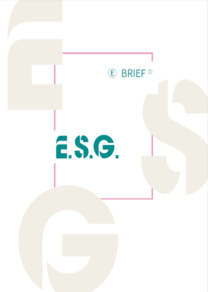 E.S.G.와 금융